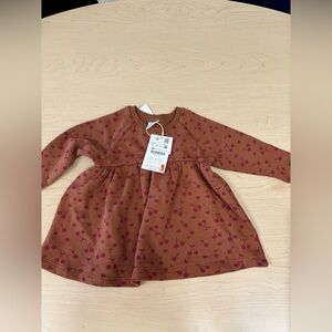BNWT Zara Fall dress